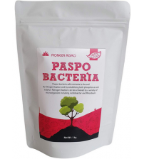 Phospho Bacteria 1 Kg